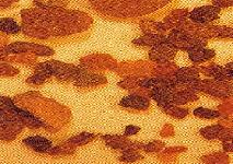 Zum Vergrößern anklicken